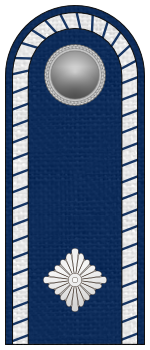 Datei:SK LP Oberschutzmann.png