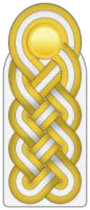 Datei:SK LW Brigadegeneral.png