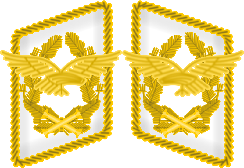 Datei:KS LW Generalluftmarschall.png
