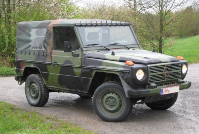 Datei:GF 29 Hermelin I.jpg