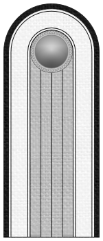 Datei:SK HE Feldwebelleutnant.png