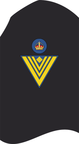 Datei:AA MA Vizemaat.png