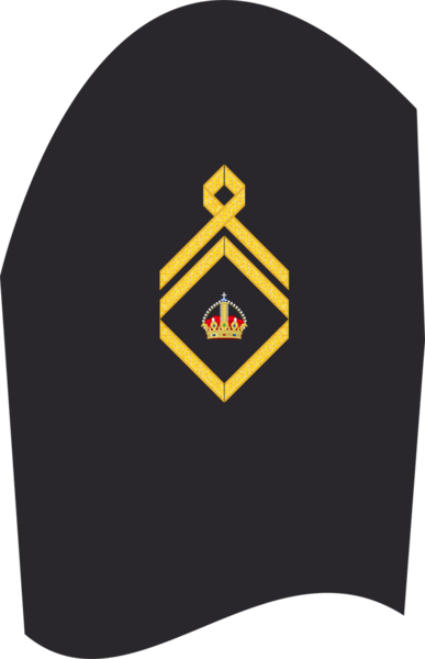 Datei:AA MA Stabsbootsmann.png