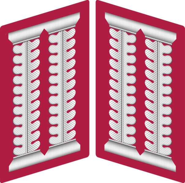 Datei:Kragenspiegel HE offiziereIG.png