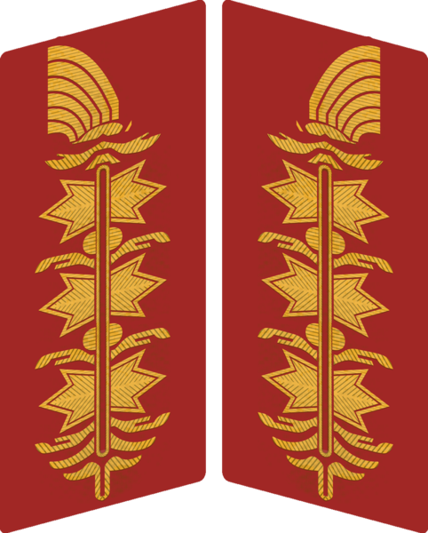 Datei:Kragenspiegel HE feldmarschalle.png