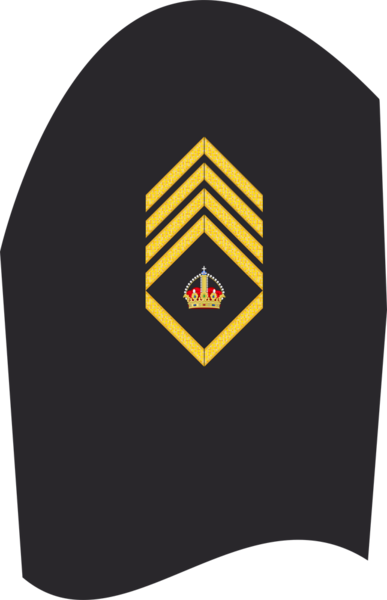 Datei:AA MA Oberbootsmann.png