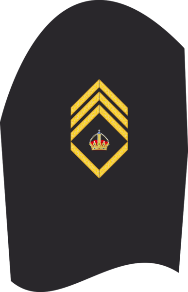 Datei:AA MA Bootsmann.png