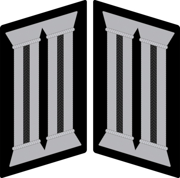 Datei:Kragenspiegel HE offiziere.png