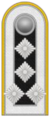 SK LW Oberstabsfeldwebel.png