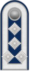 SK LP Leitender Hauptwachtmeister.png
