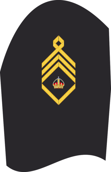 Datei:AA MA Oberstabsbootsmann.png