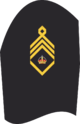 AA MA Oberstabsbootsmann.png