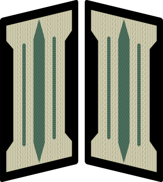 Datei:Kragenspiegel HE uo-mannschaften.png