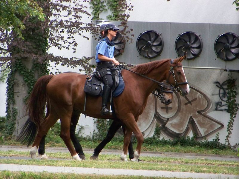 Datei:Berittene Streife.jpg