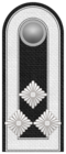 SK HE Hauptfeldwebel.png