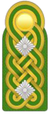 SK RP Generalleutnant dP.png